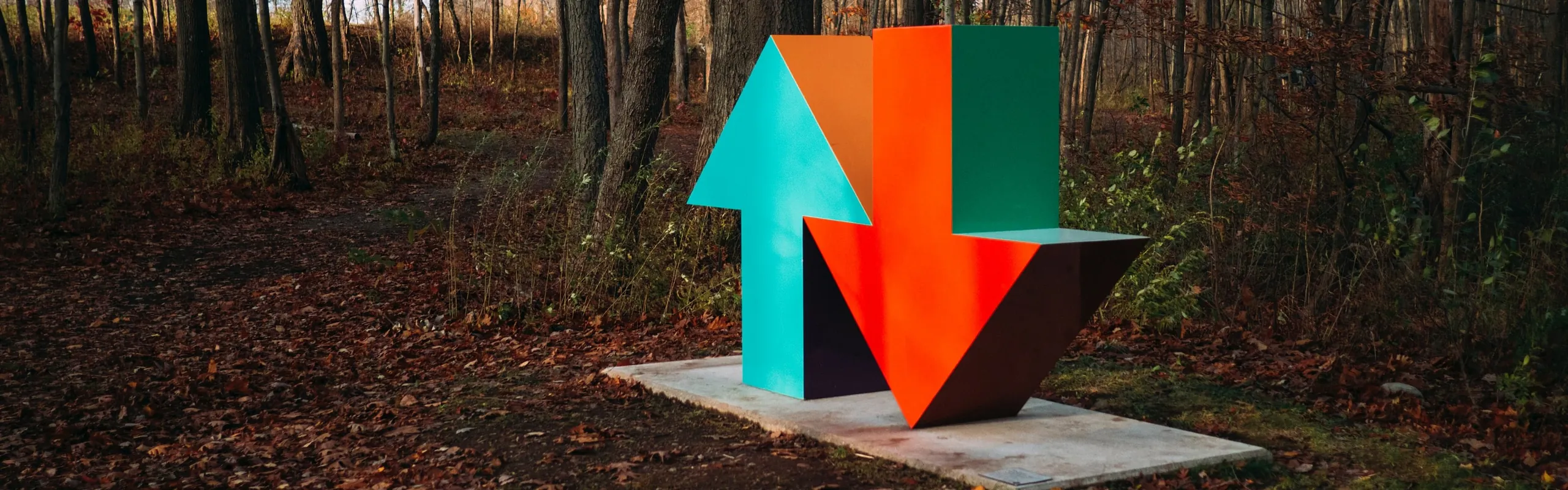 Collage mit zwei Pfeilen auf Betonplatte im Wald, ein blauer Pfeil in nach oben, ein orangener Pfeil nach unten